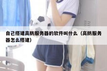 自己搭建高防服务器的软件叫什么（高防服务器怎么搭建）
