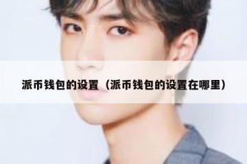 派币钱包的设置（派币钱包的设置在哪里）
