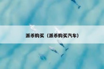 派币购买（派币购买汽车）