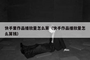 快手里作品播放量怎么算（快手作品播放量怎么算钱）