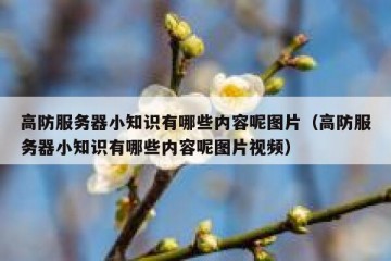 高防服务器小知识有哪些内容呢图片（高防服务器小知识有哪些内容呢图片视频）