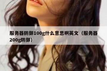 服务器防御100g什么意思啊英文（服务器200g防御）