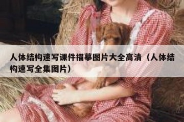 人体结构速写课件描摹图片大全高清（人体结构速写全集图片）