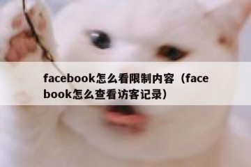 facebook怎么看限制内容（facebook怎么查看访客记录）