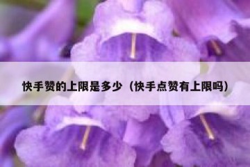 快手赞的上限是多少（快手点赞有上限吗）