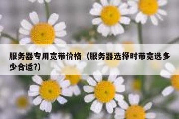 服务器专用宽带价格（服务器选择时带宽选多少合适?）