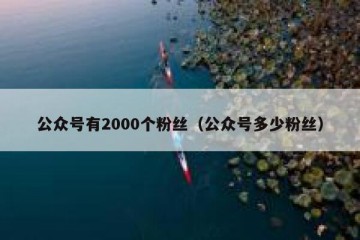 公众号有2000个粉丝（公众号多少粉丝）