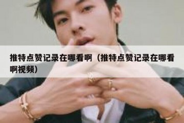 推特点赞记录在哪看啊（推特点赞记录在哪看啊视频）