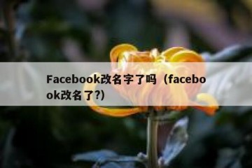 Facebook改名字了吗（facebook改名了?）