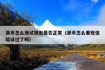 派币怎么测试钱包是否正常（派币怎么看短信验证过了吗）