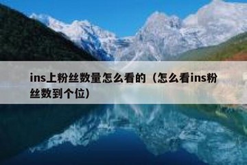 ins上粉丝数量怎么看的（怎么看ins粉丝数到个位）