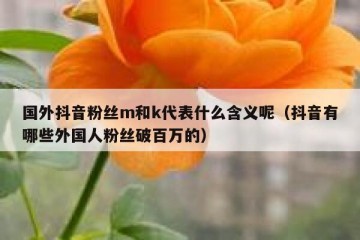 国外抖音粉丝m和k代表什么含义呢（抖音有哪些外国人粉丝破百万的）