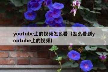 youtube上的视频怎么看（怎么看到youtube上的视频）
