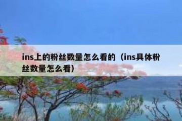 ins上的粉丝数量怎么看的（ins具体粉丝数量怎么看）
