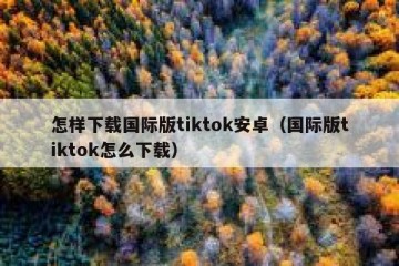 怎样下载国际版tiktok安卓（国际版tiktok怎么下载）