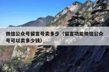 微信公众号留言号卖多少（留言功能微信公众号可以卖多少钱）