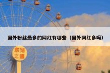 国外粉丝最多的网红有哪些（国外网红多吗）