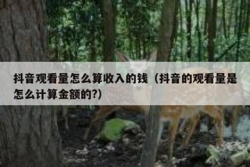 抖音观看量怎么算收入的钱（抖音的观看量是怎么计算金额的?）