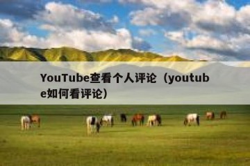 YouTube查看个人评论（youtube如何看评论）