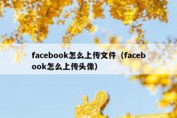 facebook怎么上传文件（facebook怎么上传头像）