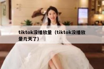 tiktok没播放量（tiktok没播放量几天了）