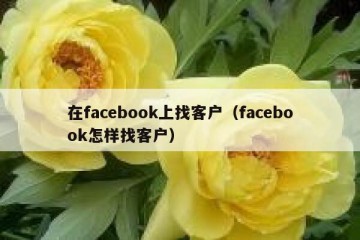 在facebook上找客户（facebook怎样找客户）