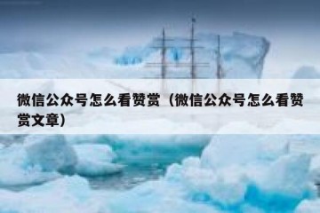 微信公众号怎么看赞赏（微信公众号怎么看赞赏文章）