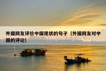 外国网友评价中国现状的句子（外国网友对中国的评论）