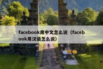 facebook用中文怎么说（facebook用汉语怎么说）