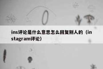 ins评论是什么意思怎么回复别人的（instagram评论）