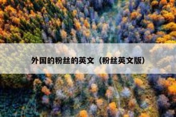 外国的粉丝的英文（粉丝英文版）