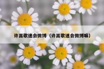 许嵩歌迷会微博（许嵩歌迷会微博嘛）
