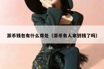 派币钱包有什么用处（派币有人拿到钱了吗）