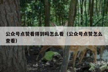 公众号点赞看得到吗怎么看（公众号点赞怎么查看）