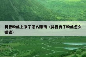 抖音粉丝上来了怎么赚钱（抖音有了粉丝怎么赚钱）