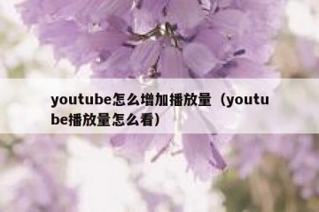 youtube怎么增加播放量（youtube播放量怎么看）
