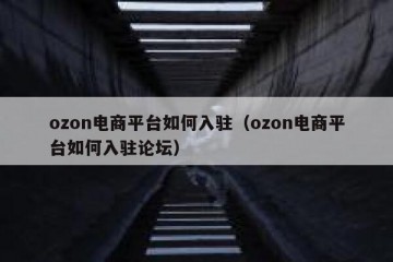 ozon电商平台如何入驻（ozon电商平台如何入驻论坛）