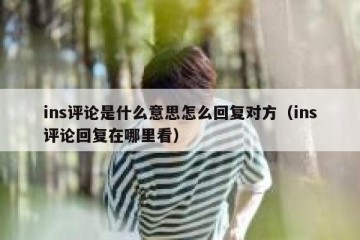 ins评论是什么意思怎么回复对方（ins评论回复在哪里看）