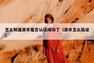 怎么知道派币是否认证成功了（派币怎么验证）