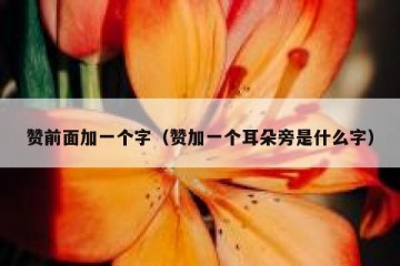 赞前面加一个字（赞加一个耳朵旁是什么字）