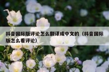 抖音国际版评论怎么翻译成中文的（抖音国际版怎么看评论）