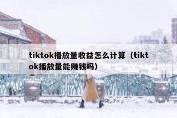 tiktok播放量收益怎么计算（tiktok播放量能赚钱吗）