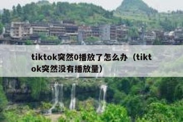 tiktok突然0播放了怎么办（tiktok突然没有播放量）