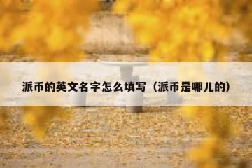 派币的英文名字怎么填写（派币是哪儿的）