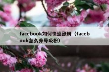 facebook如何快速涨粉（facebook怎么养号吸粉）