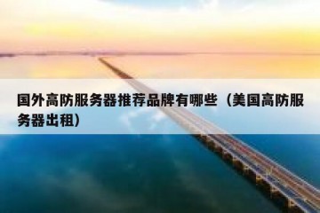 国外高防服务器推荐品牌有哪些（美国高防服务器出租）