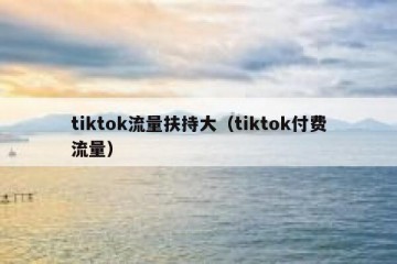 tiktok流量扶持大（tiktok付费流量）