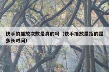 快手的播放次数是真的吗（快手播放量指的是多长时间）