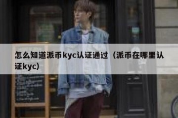 怎么知道派币kyc认证通过（派币在哪里认证kyc）