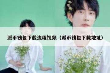 派币钱包下载流程视频（派币钱包下载地址）